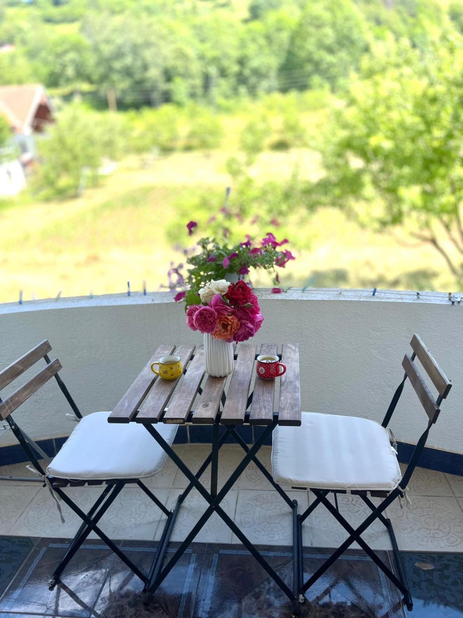 Visitor Yard Bed & Breakfast Plav Ngoại thất bức ảnh